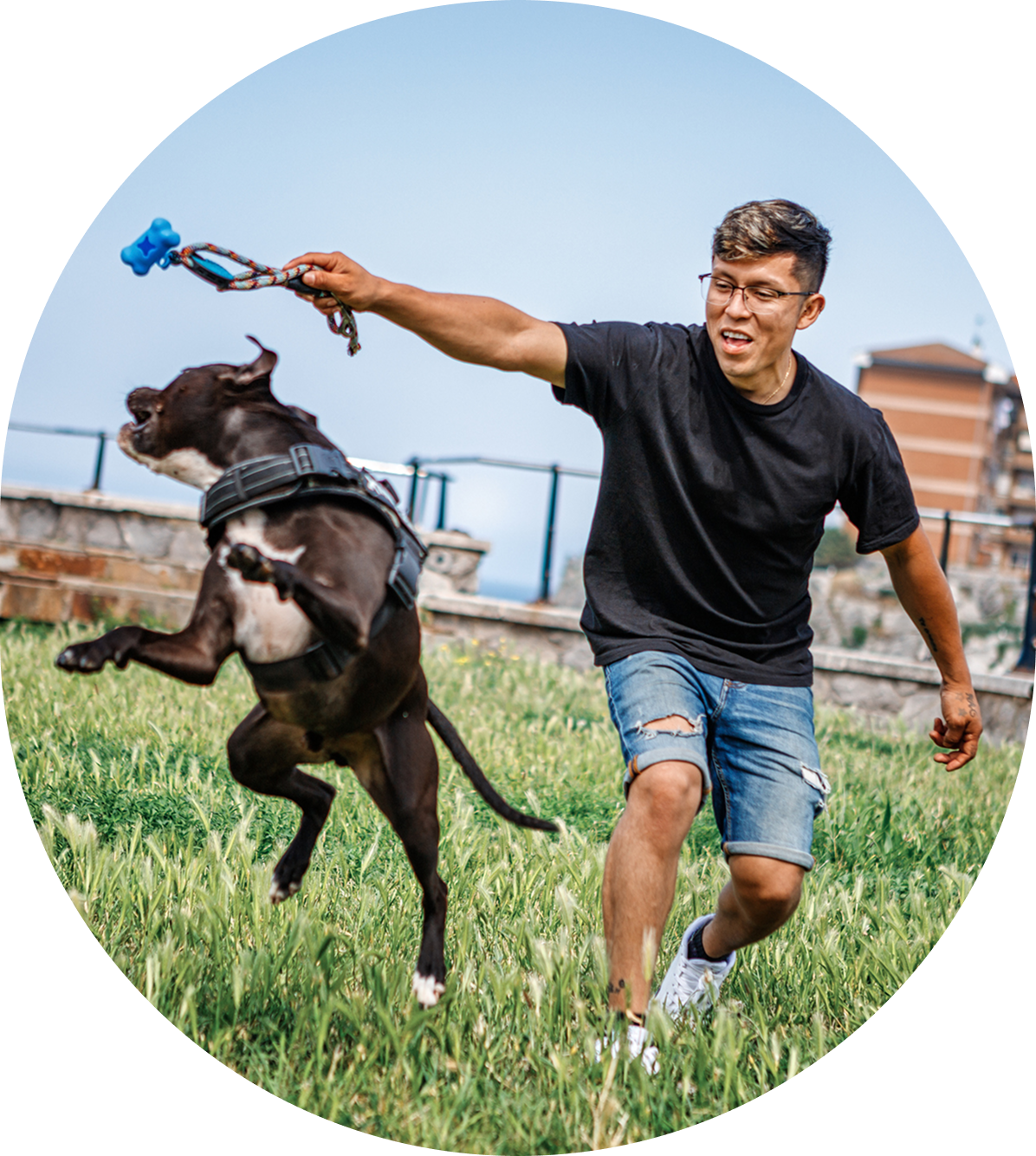Man and dog enjoying playtime in park